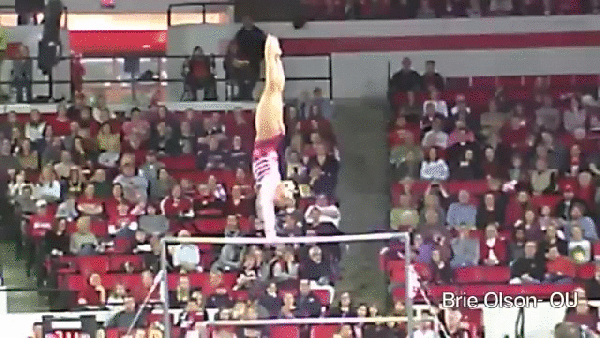 41e9e7aac53dadb6cacb307e135cef67